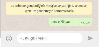 WhatsApp üstü çizili yazı