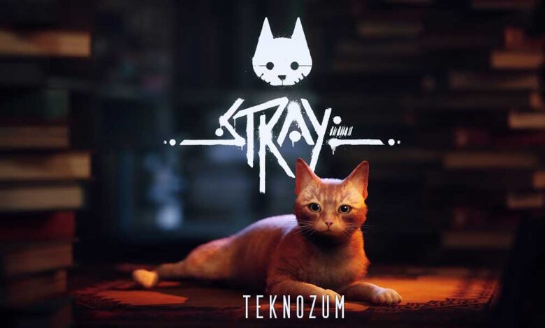 Stray Sistem Gereksinimleri